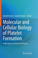 Molecular and Cellular Biology of Platelet Formation