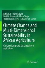Climate Change and Multi-Dimensional Sustainability in African Agriculture