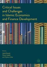 Critical Issues and Challenges in Islamic Economics and Finance Development