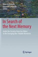 In Search of the Next Memory