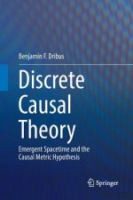 Discrete Causal Theory