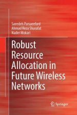 Robust Resource Allocation in Future Wireless Networks