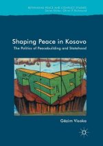 Shaping Peace in Kosovo