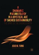 Shamanic Pneumatology in a Mystical Age of Sacred Sustainability