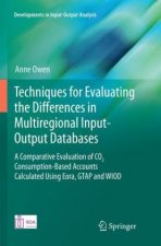 Techniques for Evaluating the Differences in Multiregional Input-Output Databases