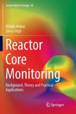 Reactor Core Monitoring
