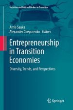 Entrepreneurship in Transition Economies