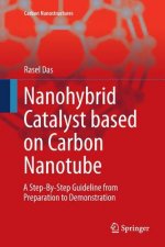 Nanohybrid Catalyst based on Carbon Nanotube