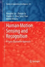 Human Motion Sensing and Recognition