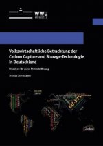 Volkswirtschaftliche Betrachtung der Carbon Capture and Storage-Technologie in Deutschland