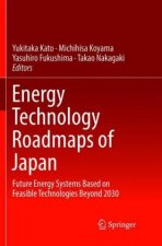 Energy Technology Roadmaps of Japan