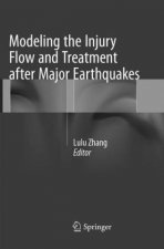 Modeling the Injury Flow and Treatment after Major Earthquakes