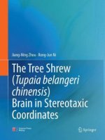 Tree Shrew (Tupaia belangeri chinensis) Brain in Stereotaxic Coordinates