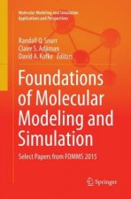 Foundations of Molecular Modeling and Simulation