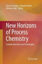 New Horizons of Process Chemistry