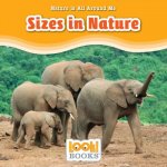 Sizes in Nature