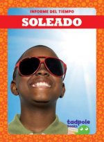 Soleado = Sunny