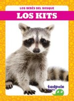 Los Kits (Raccoon Cubs)