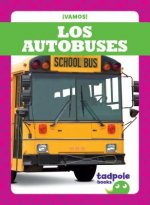 Los Autobuses (Buses)