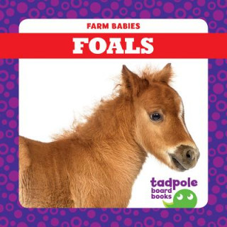 Foals