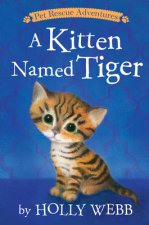 Kitten Named Tiger