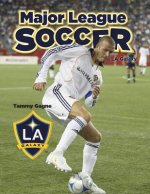 La Galaxy