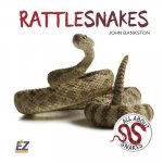 Rattlesnakes