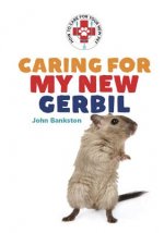 Caring for My New Gerbil