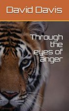 Through the Eyes of Anger