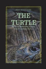 The Turtle: Be Carefull with What You Buy from the Antique Store...