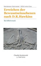 Erreichen der Bewusstseinsebenen nach D.R.Hawkins: Ein Selbstversuch