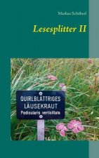 Lesesplitter II