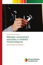 Metodos variacionais aplicados a modelos meteorologicos