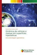 Dinamica de vortices e massas em superficies hiperbolicas