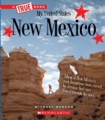 New Mexico (a True Book: My United States) (Library Edition)