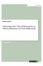 Anpassung einer Unterrichtssequenz an FokusschülerInnen im Fach Mathematik