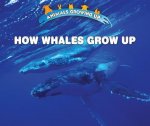 How Whales Grow Up