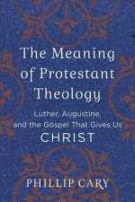 Meaning of Protestant Theology - Luther, Augustine, and the Gospel That Gives Us Christ