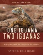 One Iguana, Two Iguanas