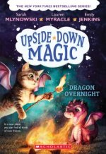 Dragon Overnight (Upside-Down Magic #4)