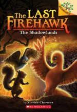 Shadowlands: A Branches Book (The Last Firehawk #5)