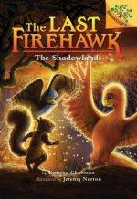 The Shadowlands: A Branches Book (the Last Firehawk #5) (Library Edition), 5