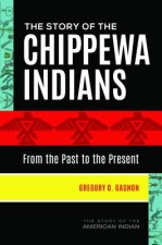 Story of the Chippewa Indians
