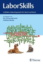 LaborSkills