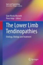 Lower Limb Tendinopathies