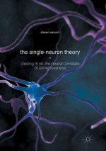 Single-Neuron Theory