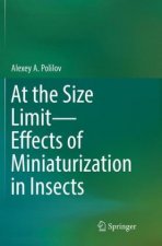 At the Size Limit - Effects of Miniaturization in Insects