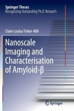 Nanoscale Imaging and Characterisation of Amyloid-