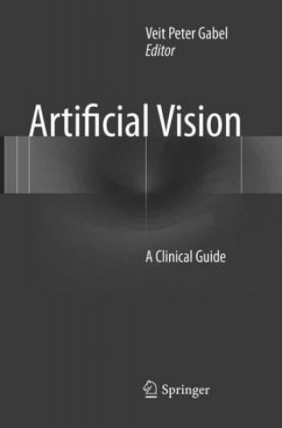 Artificial Vision