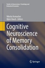 Cognitive Neuroscience of Memory Consolidation